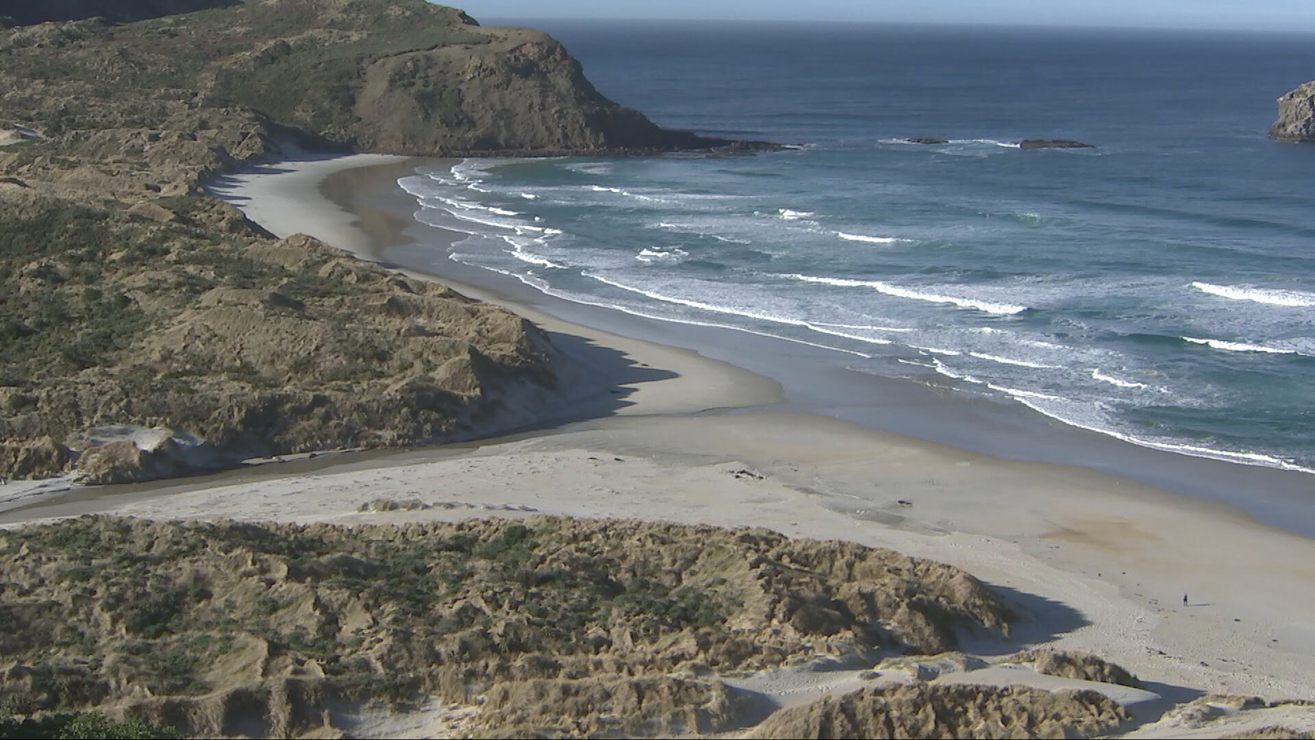 Ngai Tahu and DOC launch five marine reserves from South Canterbury to Otago
